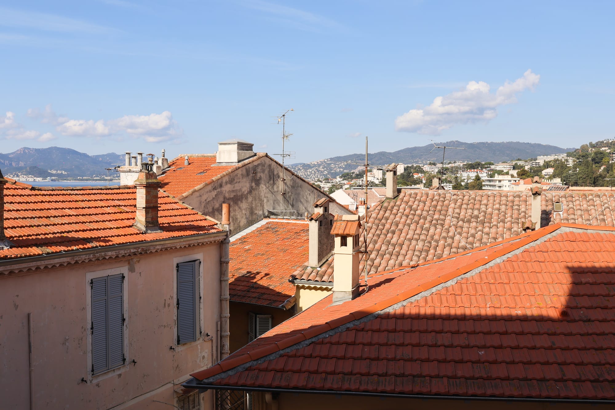 Suite verveine